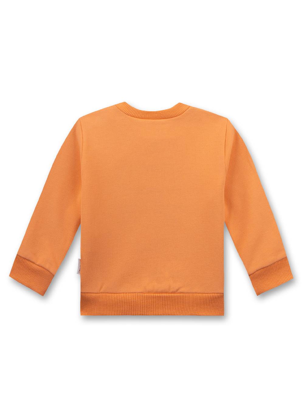 Sanetta Jungen-Sweatshirt Orange Verkauf