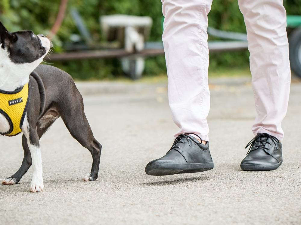 Sole Runner Pflegehinweise für SOLE RUNNER® Barfußschuhe Zeitlich begrenztes Angebot