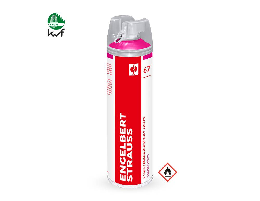 Strauss e.s. Forstmarkierspray Neon #67 Zeitlich begrenztes Angebot