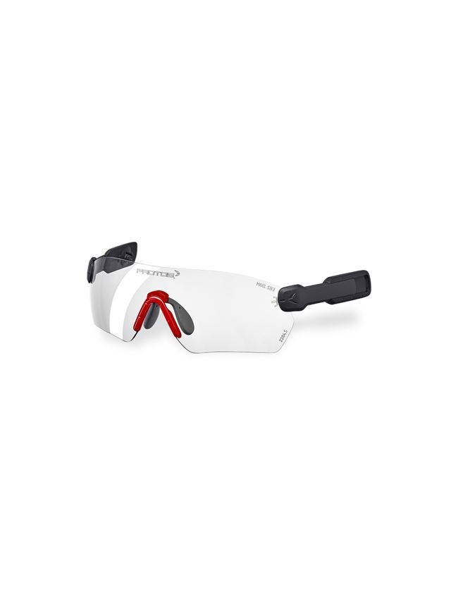 Strauss e.s. Schutzbrille Protos® Integral Rabatt