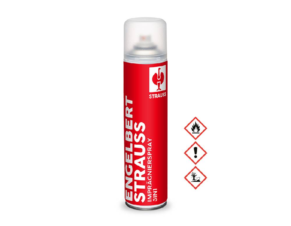 Strauss Schuhreinigungs-Aktions-Set Begrenzt auf 3 Tage