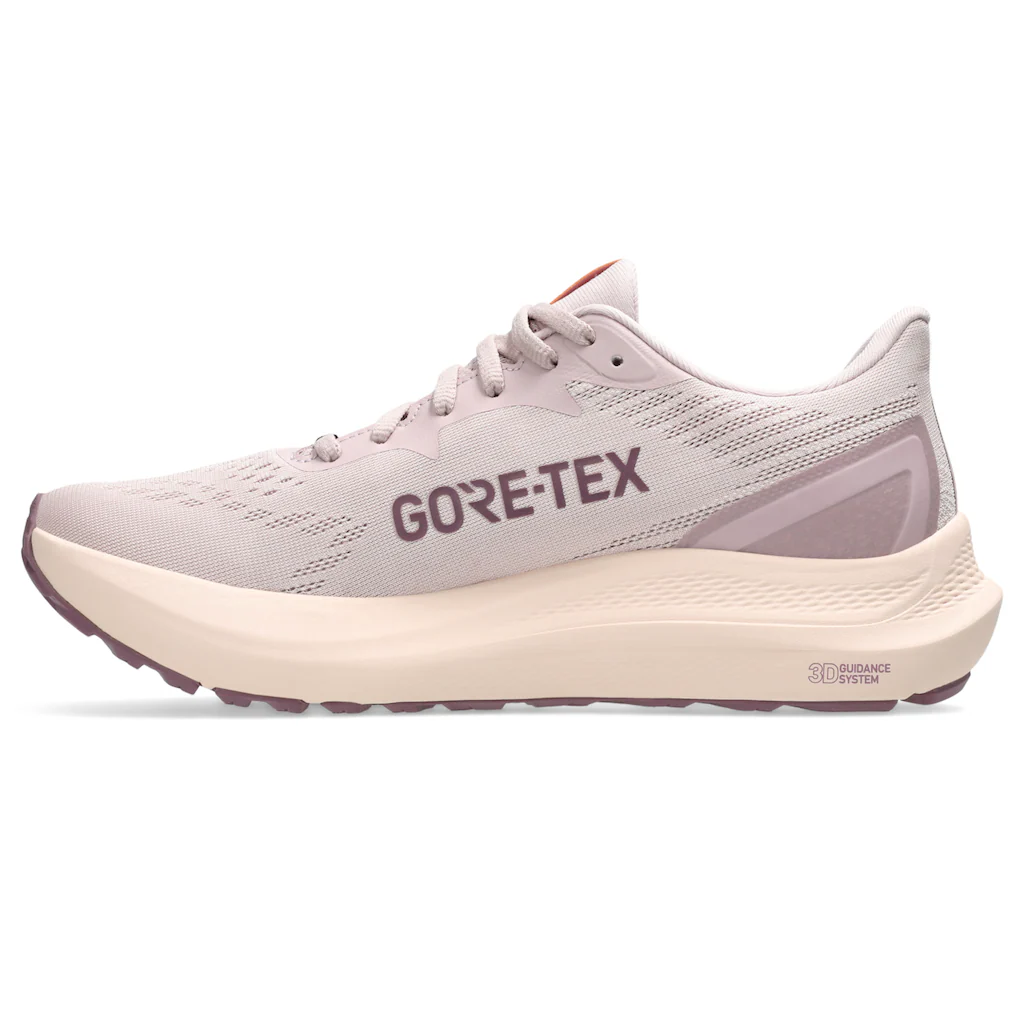 Asics Laufschuh »GT-2000 12 Gore-Tex« für mehr Stabilität wasserdicht auf Rechnung Discount Store für neue Produkte